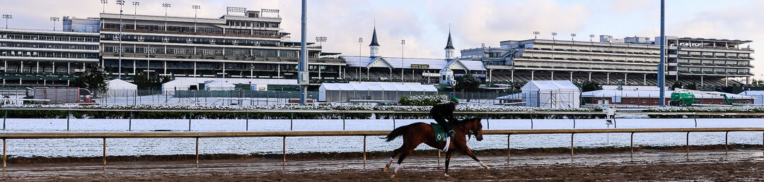 Snowy Churchill Downs-3.jpg